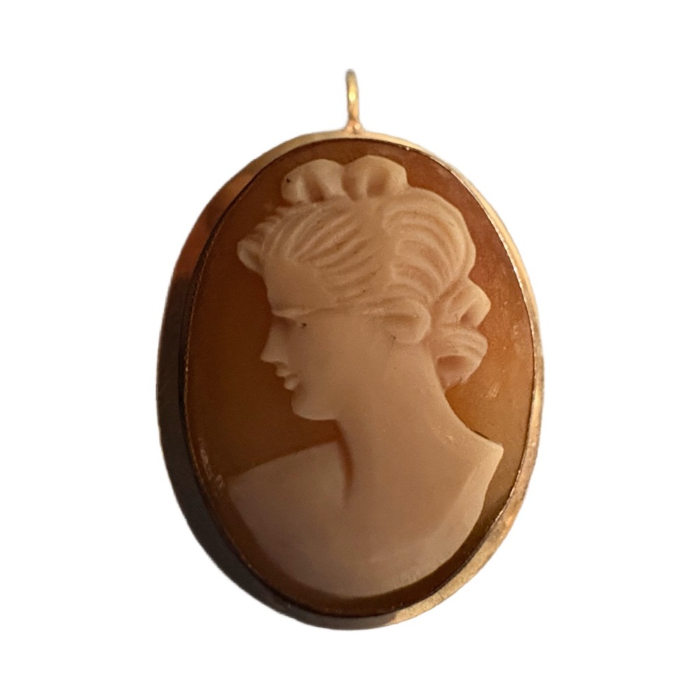 Elegant Cameo Pendant Necklace/ broach